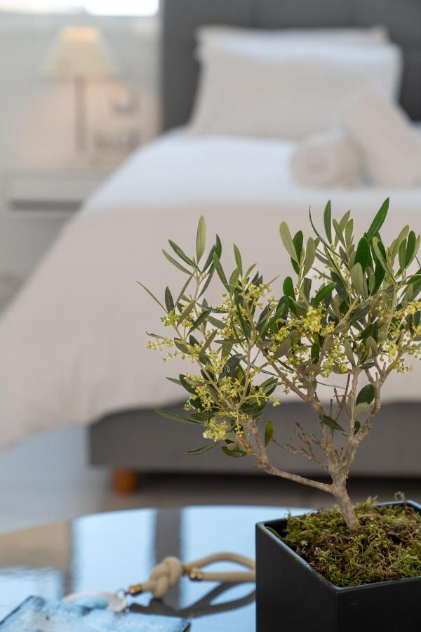 Olvar Suites Athen Eksteriør bilde